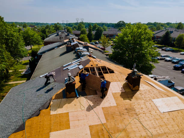 Best Storm Damage Roof Repair  in Carroll Valley, PA